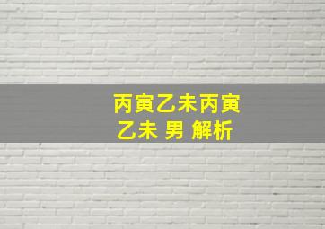 丙寅乙未丙寅乙未 男 解析